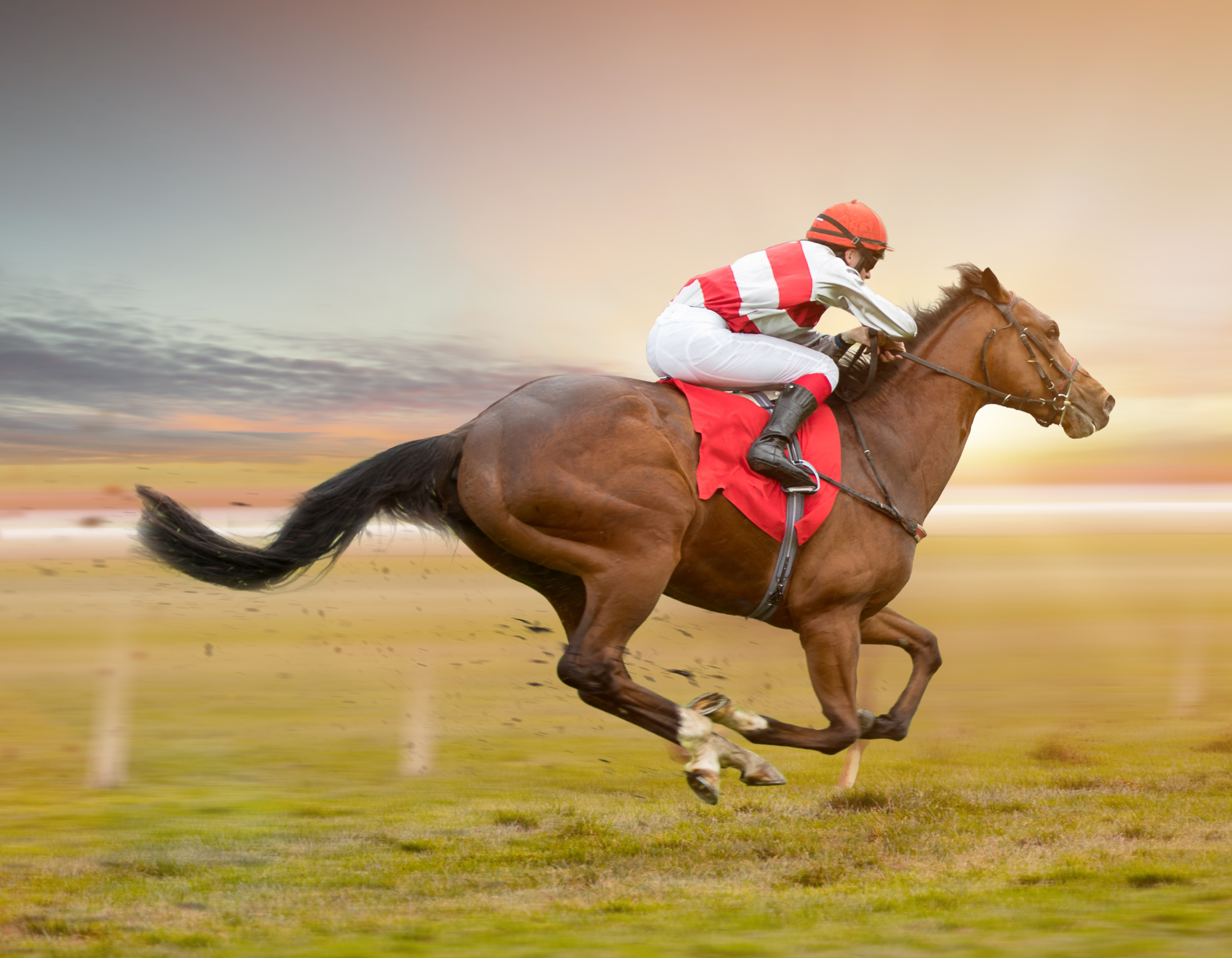 Jockey racing a horse on track.